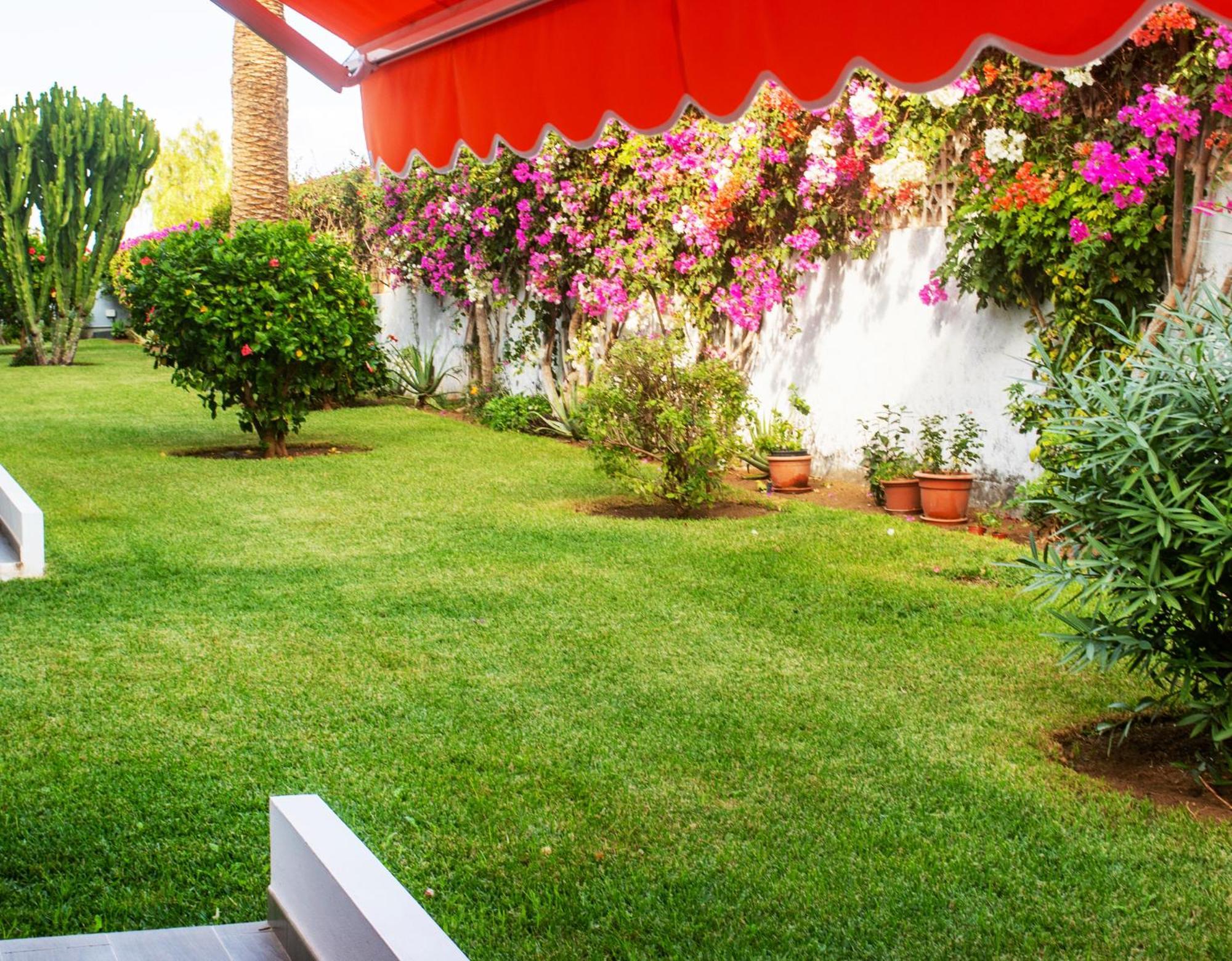 דירות פוארטו דה לה קרוז Casa Tranquila מראה חיצוני תמונה